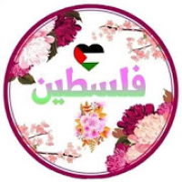 دردشة فلسطين